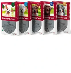Bayvantic Vet hund under 4 kg 4 x 0,4 ml