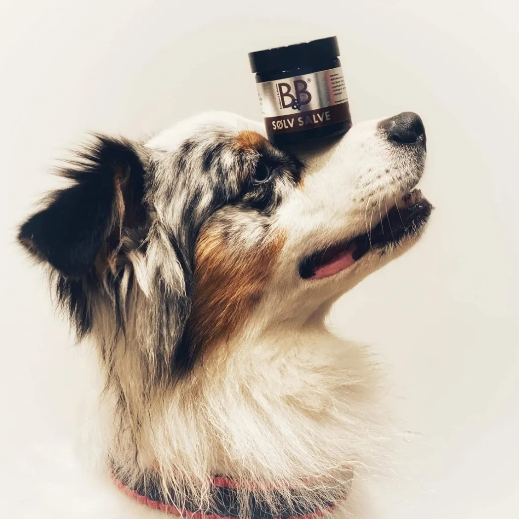 B&B Sølvsalve 60 ml
