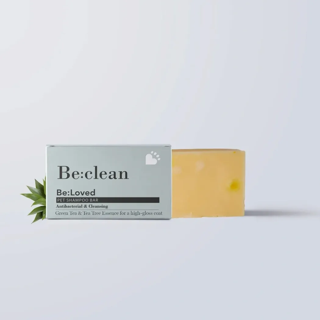 Be Clean Be Loved Shampoo bar 110 g