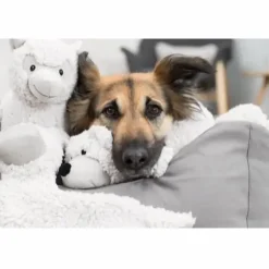 Be Eco Æsel Elenor - bamse i genbrugsplys til hunde