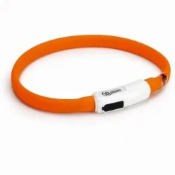 Beeztees LED Halsbånd til katte og små hunde Orange 30 cm - Opladeligt og tilpasset pasform