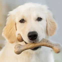 Benebone Puppy Wishbone Bacon M - hvalpe tyggeben med bacon