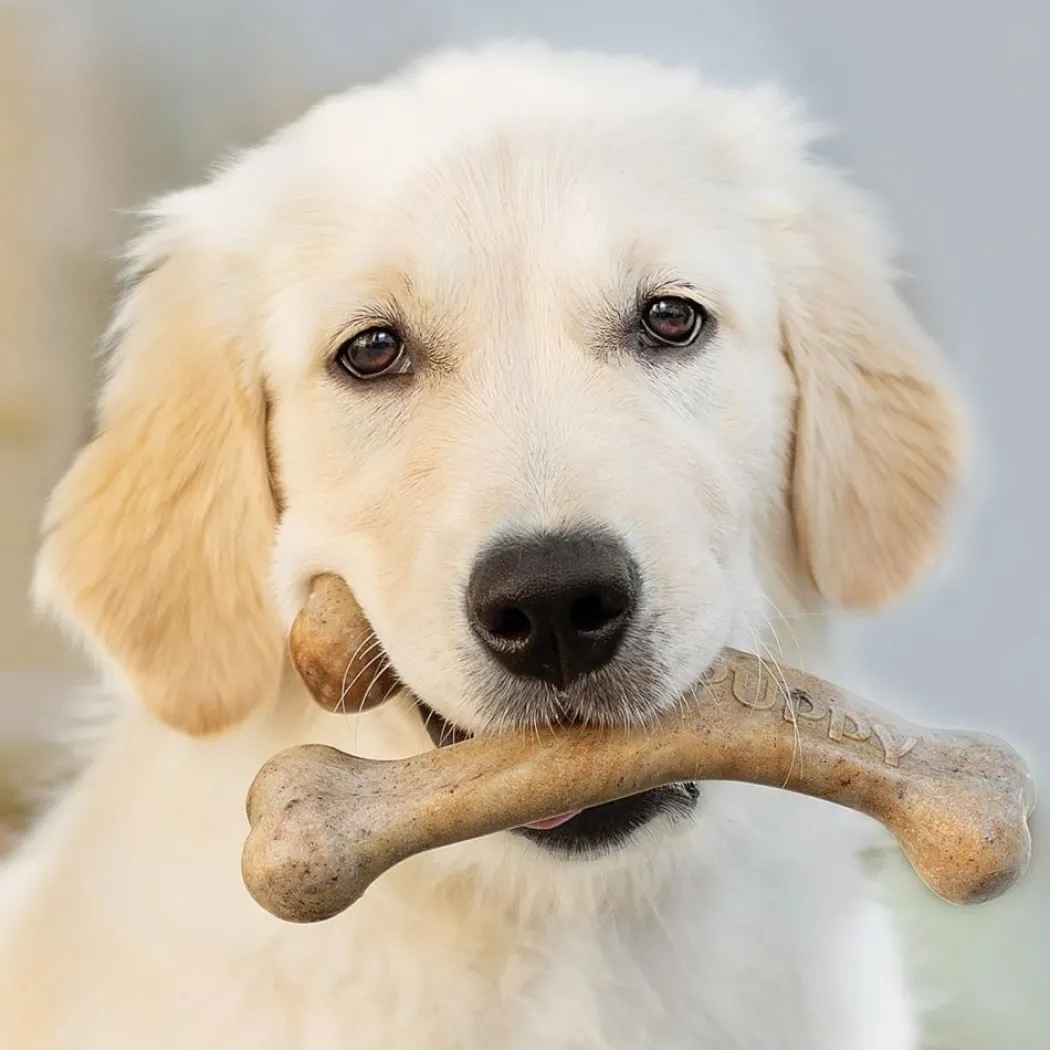 Benebone Puppy Wishbone Bacon M - hvalpe tyggeben med bacon