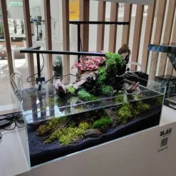 Blau Glasakvarium CUBIC Aquascaping Shallow 44 62x36x20 cm
