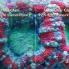 Blau Gran Cubic Super Reef 122 Black 366 liters Saltvandsakvarium