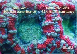 Blau Gran Cubic Super Reef 122 Black 366 liters Saltvandsakvarium