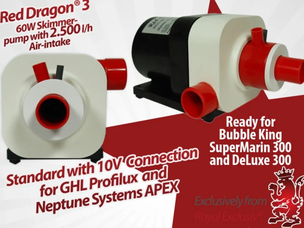Bubble King DeLuxe DeLuxe 300 internal with RD3 Speedy VS15 Skummer