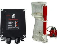 Bubble King Double Cone 180 + RD3 Speedy Skummer