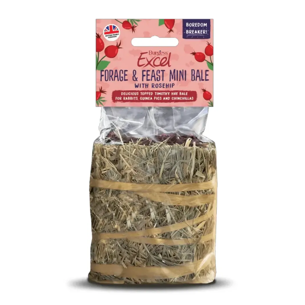 Burgess Excel Forage og Feast mini bale med hyben 100 g - Naturlig aktivering og tyggeglæde