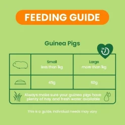 Burgess Excel Guinea Pig 3 kg - Højt fiberindhold med mint og C-vitamin
