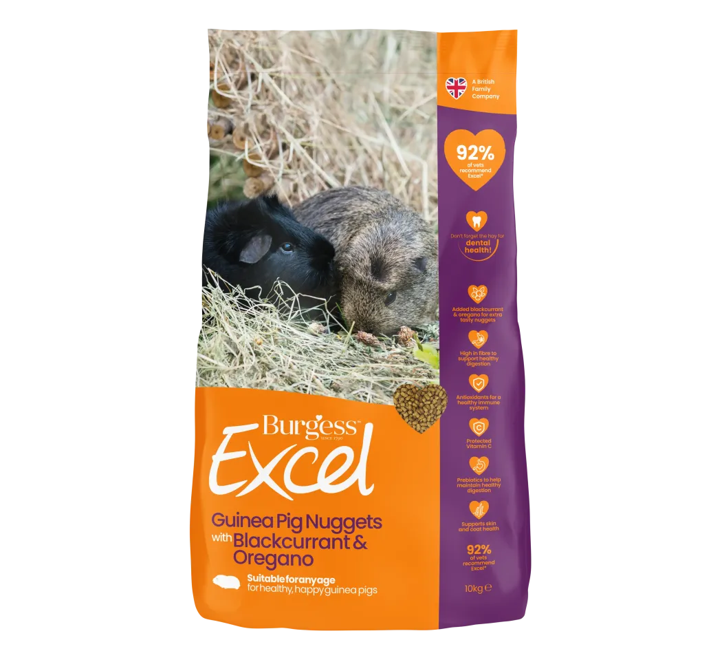 Burgess Excel Marsvin Solbær & Oregano 10 kg - fuldfoder med ekstra smag