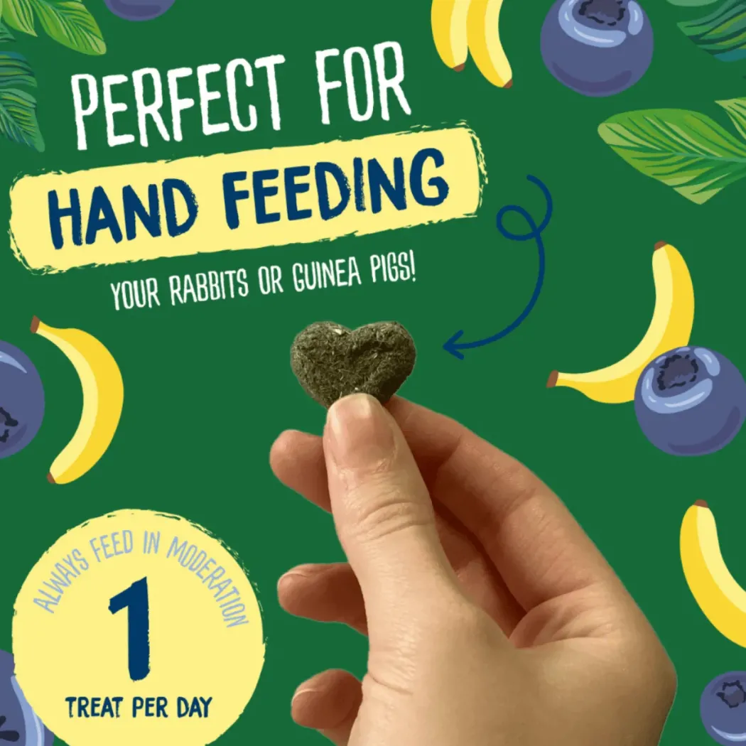 Burgess Excel Natures Snack Fruit Feasts 60 g - Frugtsnacks til håndfodring