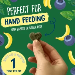 Burgess Excel Natures Snack Herby Hearts 60 g - Bagte urtesnacks til håndfodring