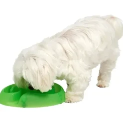 Buster dogmaze (Lime)