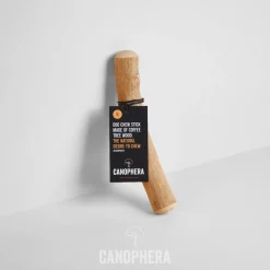 Canophera Kaffetræ S - naturligt tyggelegetøj til små og mellemstore hunde
