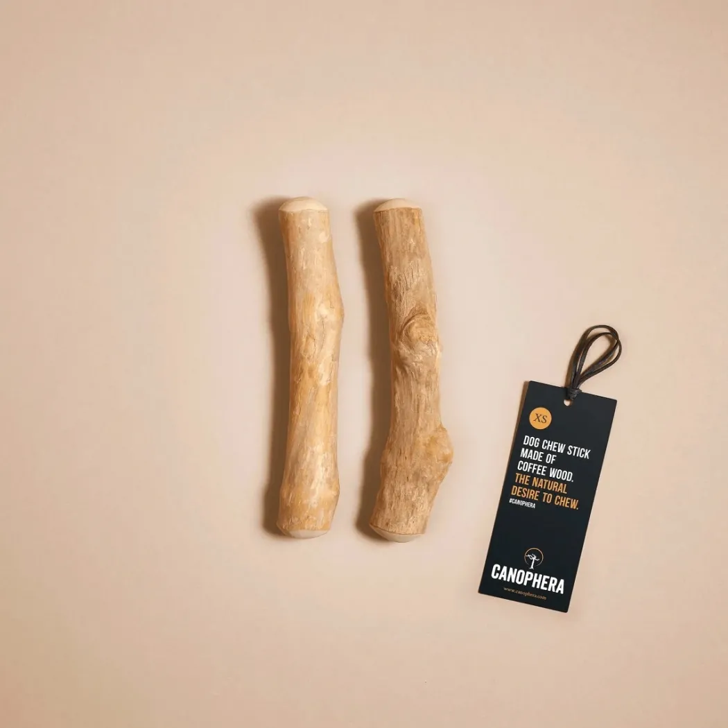 Canophera Kaffetræ XS - naturligt tyggelegetøj til små hunde