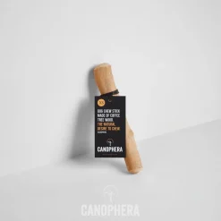 Canophera Kaffetræ XS - naturligt tyggelegetøj til små hunde
