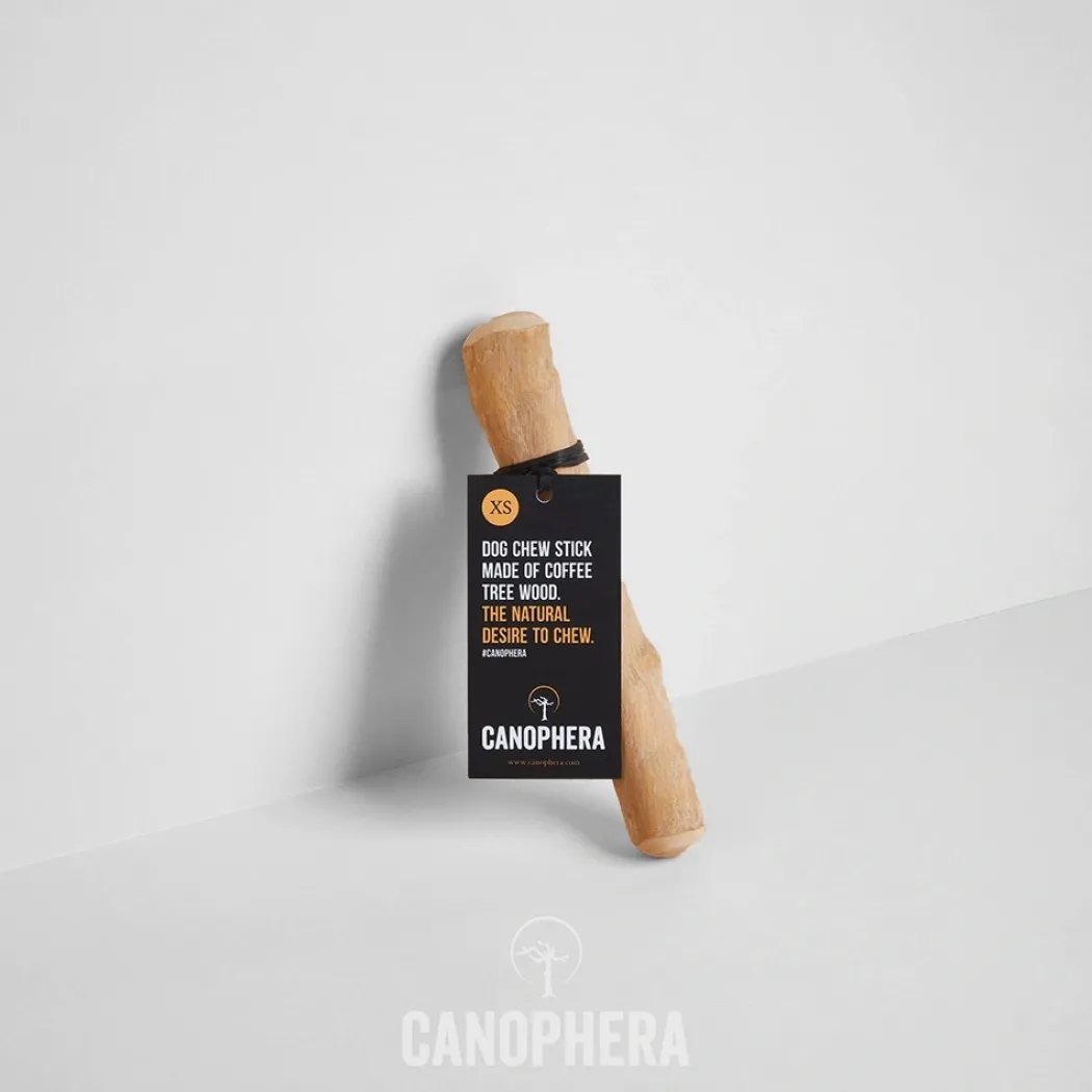 Canophera Kaffetræ XS - naturligt tyggelegetøj til små hunde