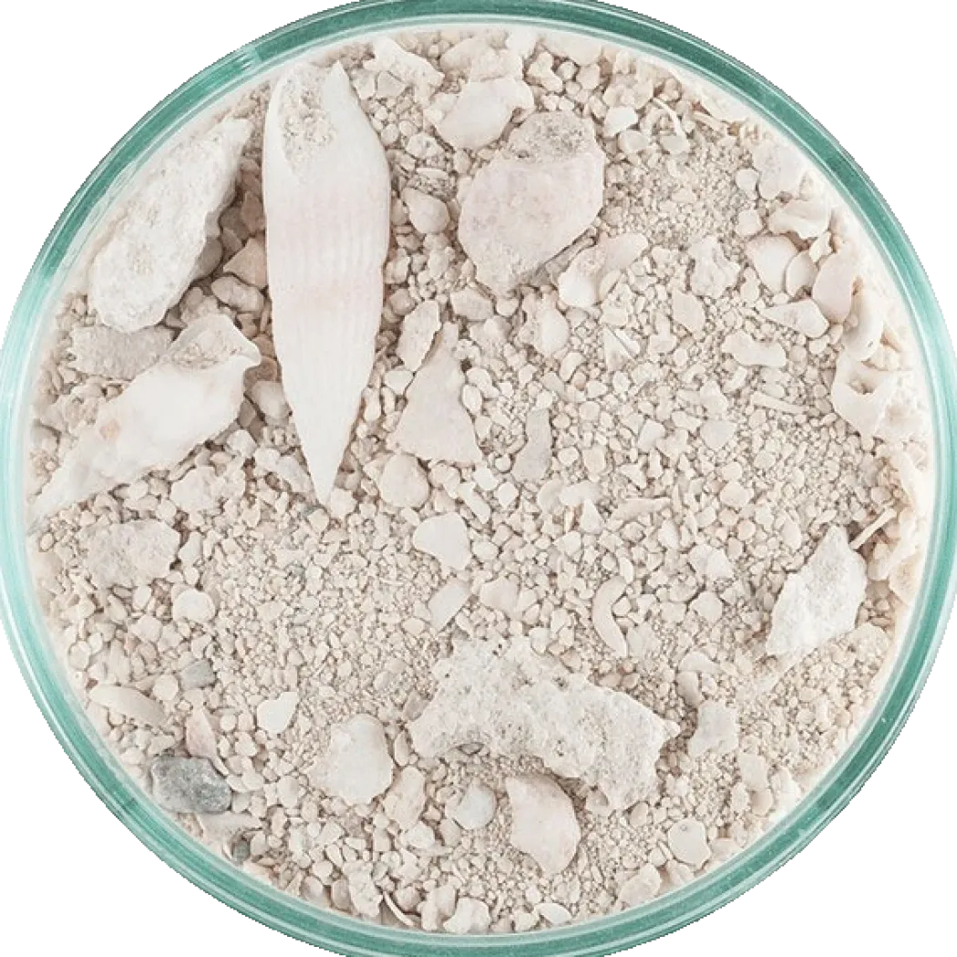 CaribSea Ocean Direct Original Grade 2,25 kg