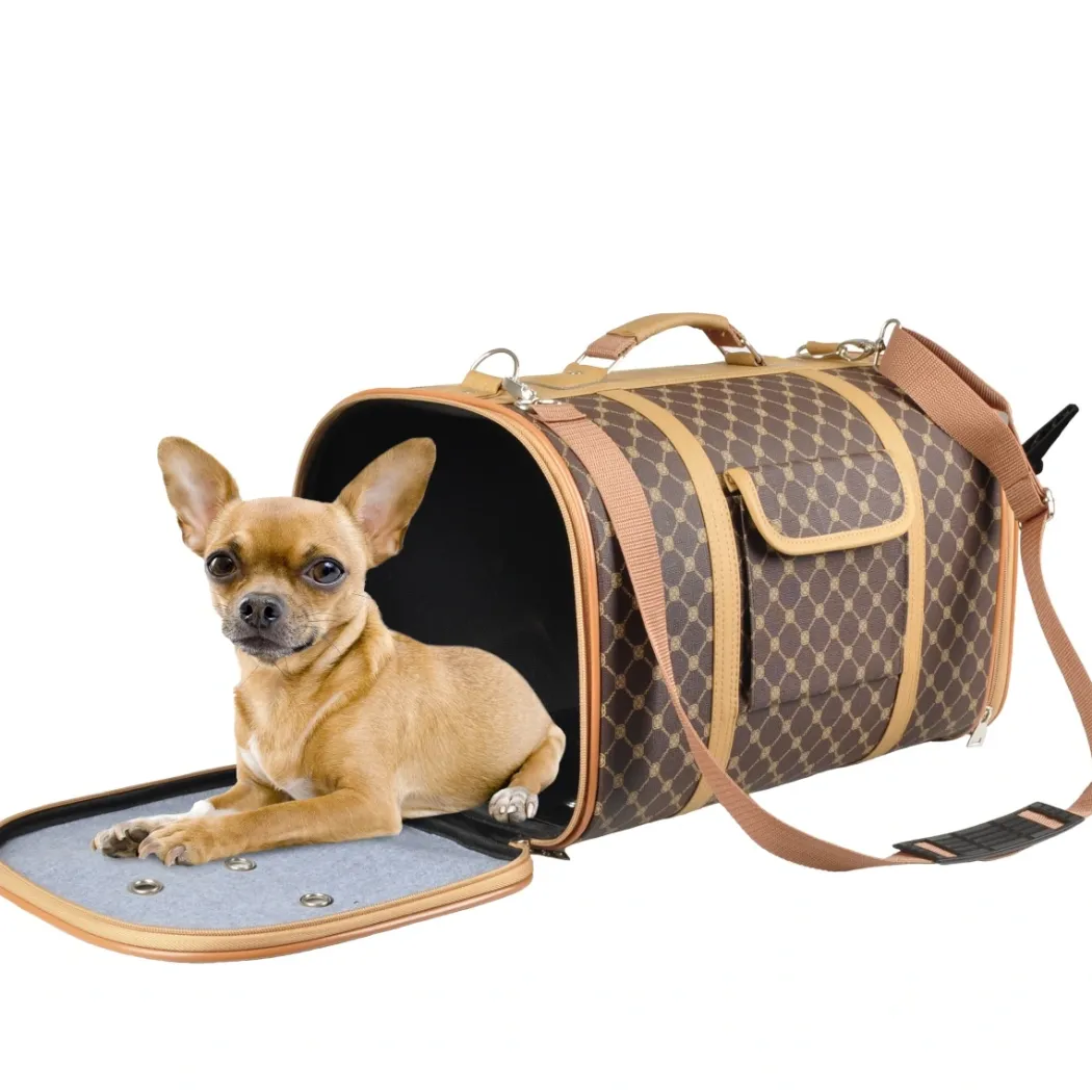 Carrying Bag Chloe 2 45x26x26 cm