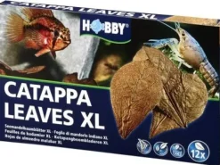 Catappa Leaves XL