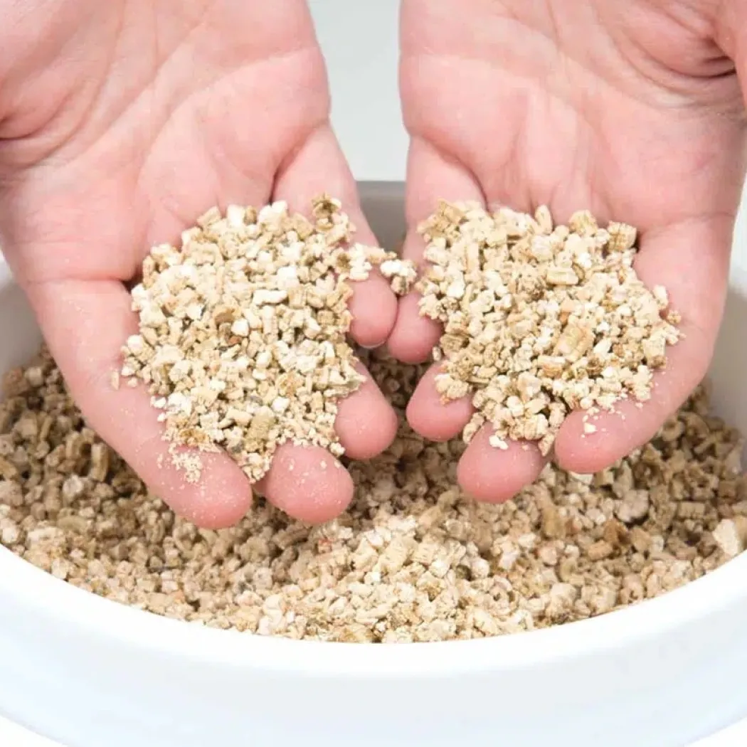 Catit Senses 2.0 Kattegræs Refill Kit sæt med 3 stk.