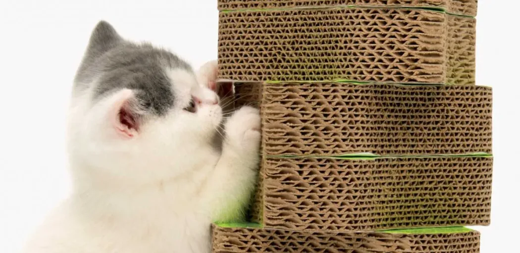 Catit Senses 2.0 Scratcher