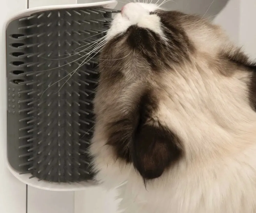 Catit Senses 2.0 Self Groomer - Kattebørste