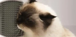 Catit Senses 2.0 Self Groomer - Kattebørste