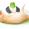 Catit Senses Wellness Center