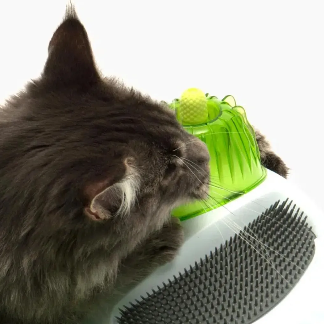 Catit Senses Wellness Center