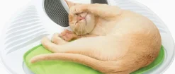 Catit Senses Wellness Center