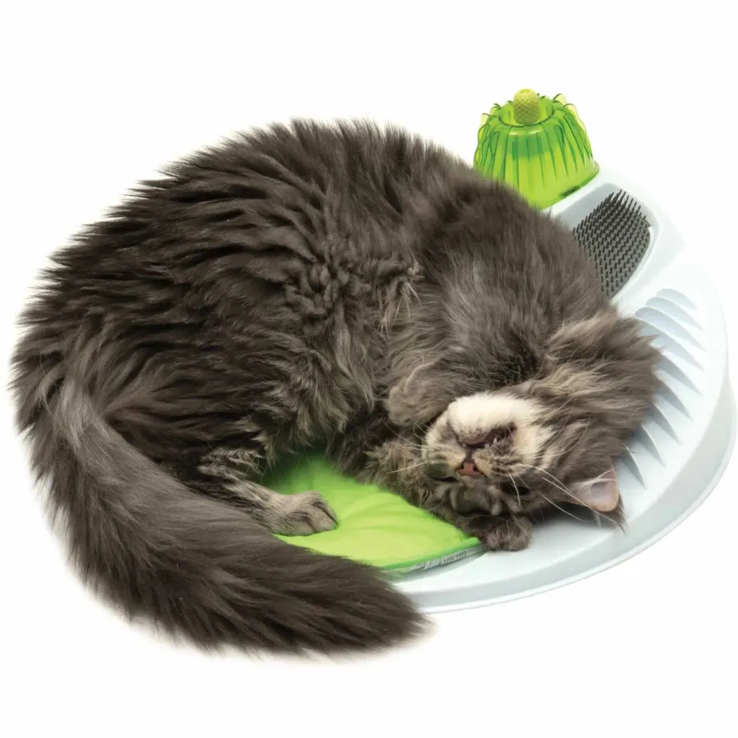Catit Senses Wellness Center