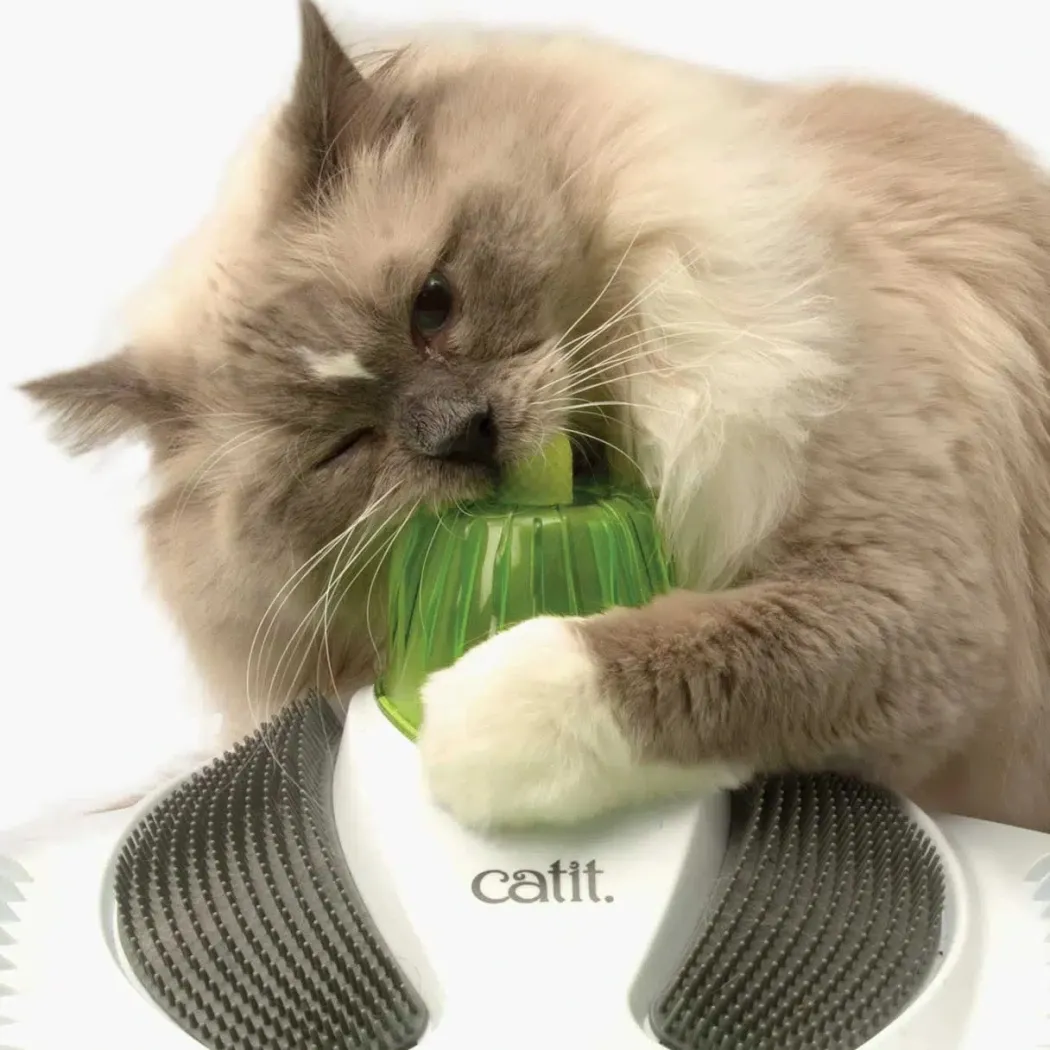 Catit Senses Wellness Center