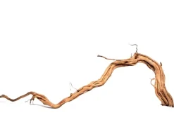 Curl Wood Krøllet træ Medium