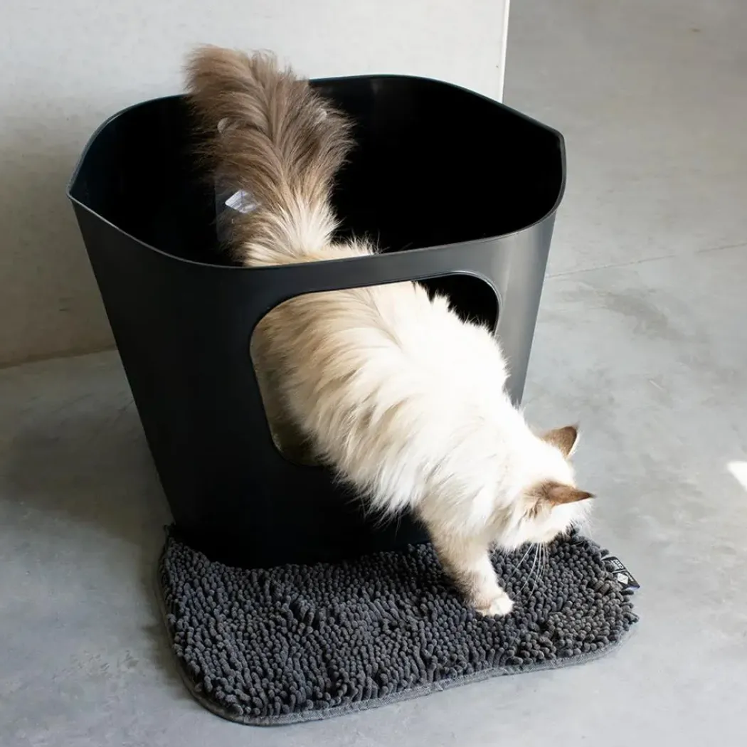 D&D CAT Kattetoilet DEAN - Stilrent - rummeligt og miljøvenligt