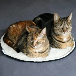 D&D CAT - MAEVE Tæppe Ø 50 cm Sort/Beige