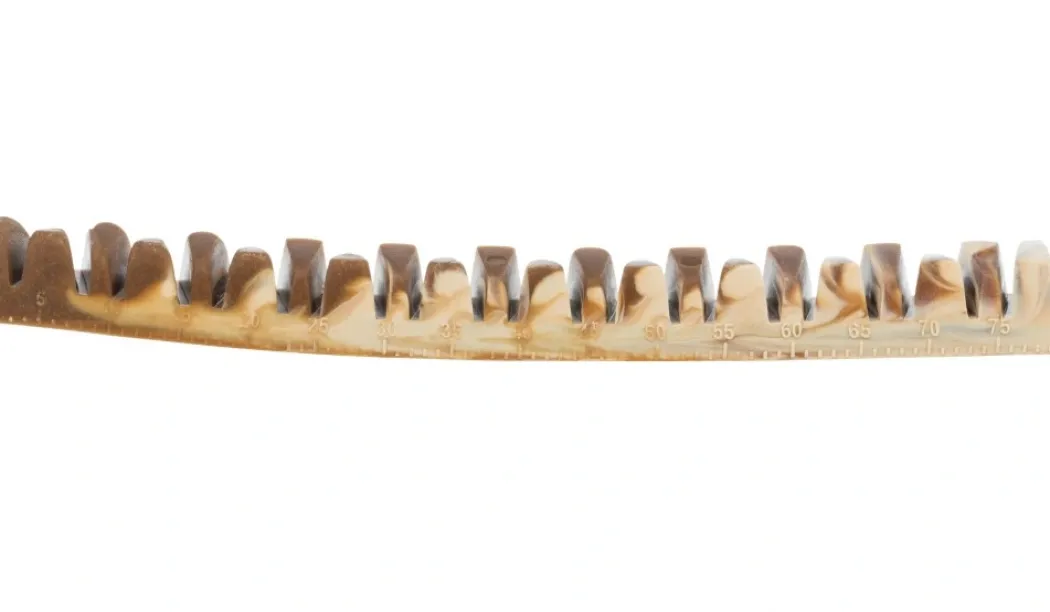 Denta Fun Veggie Tyggeben 12 cm (vegetabilsk) - sundt og vegansk tyggeben til hunde