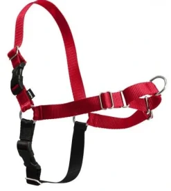 Easy Walk Hundesele Rød M - Bryst 30-38 cm
