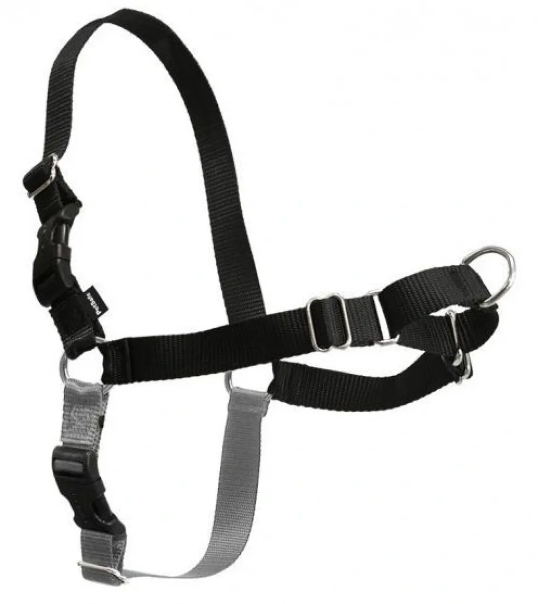Easy Walk Hundesele Sort S - Bryst 21,5-28 cm