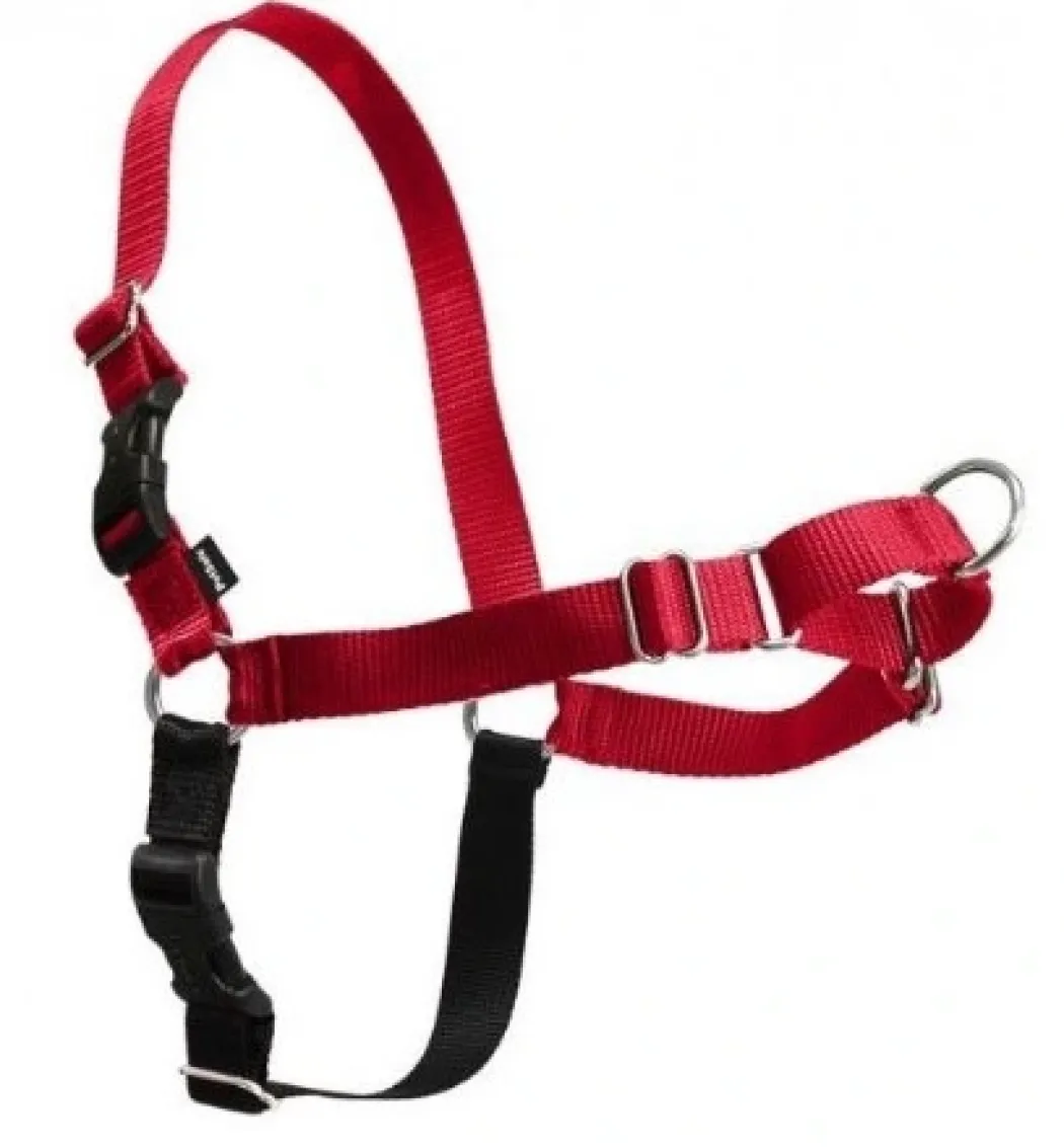 Easy Walk Hundesele XS Rød - Bryst 15-17,5 cm
