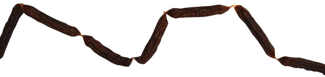 Endeløs pølse med fjerkræ - naturlige hundesnacks