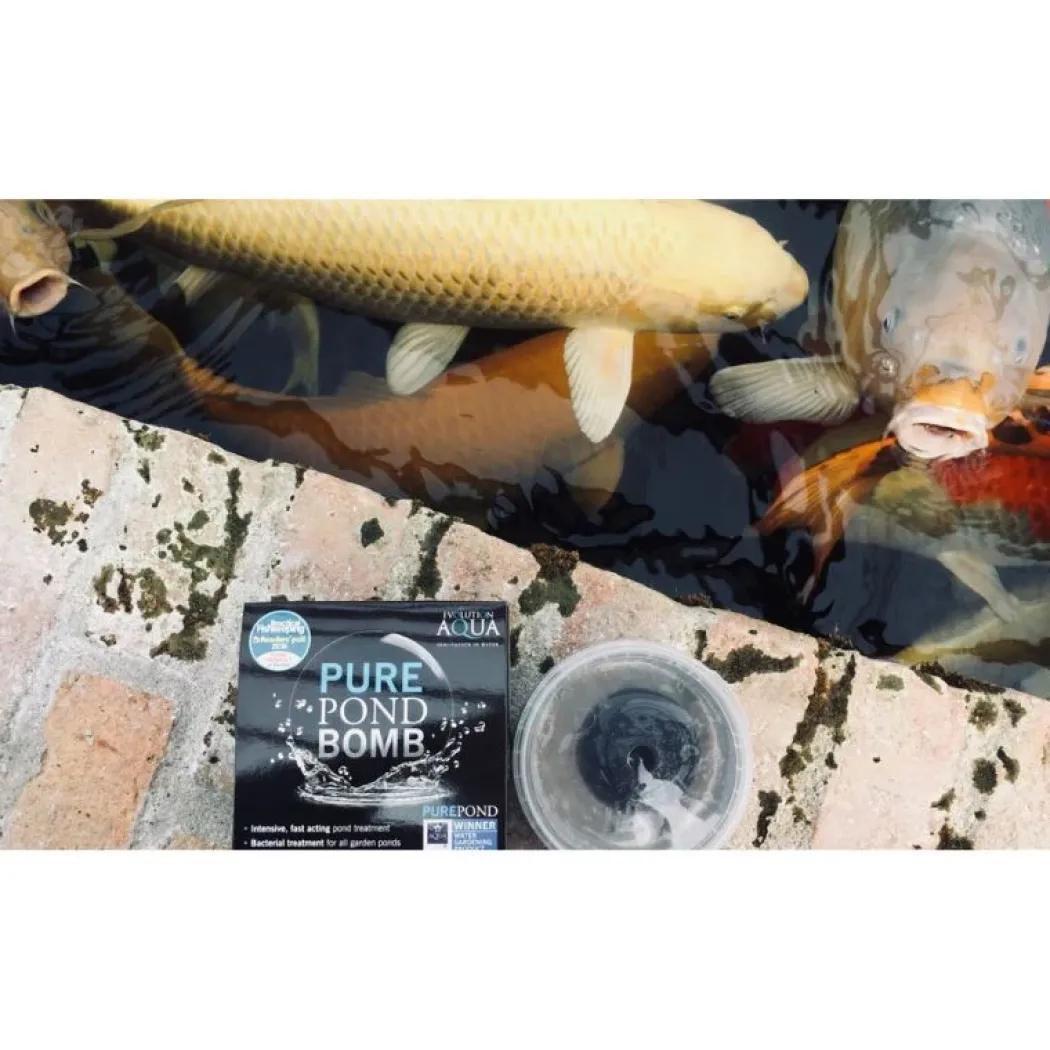 Evolution Aqua Pure Pond Bomb 500 gram til 20000 liter