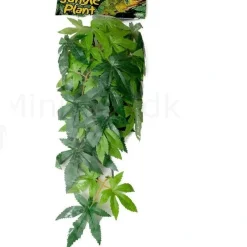 Exo Terra Abutilon lille