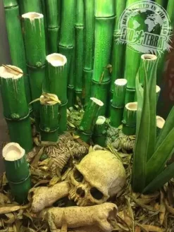 ExoTerra Bamboo Terrarium 30x30x45 cm 40 Liter