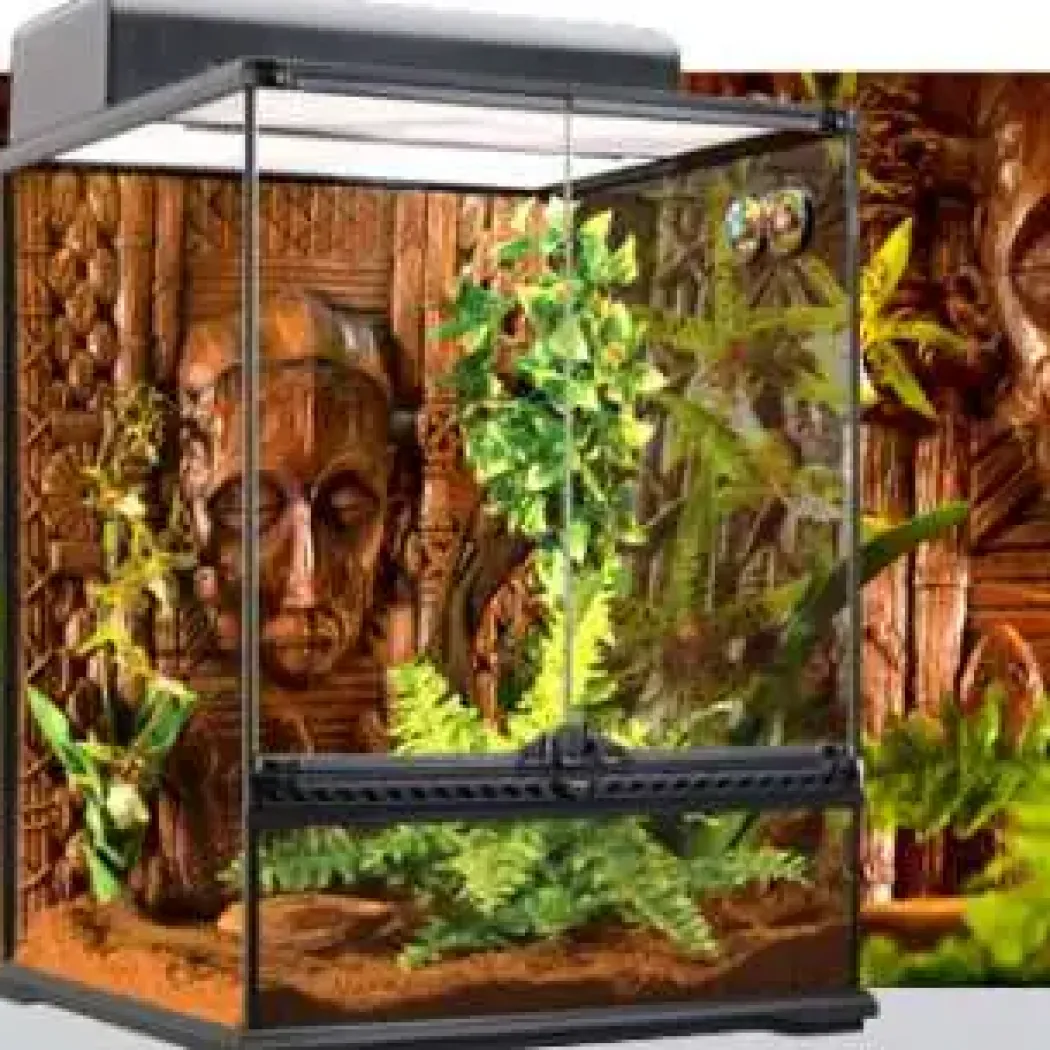 Exo Terra Boston Fern (lille)