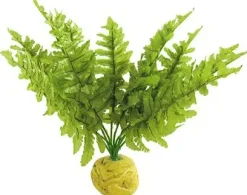 Exo Terra Boston Fern (lille)