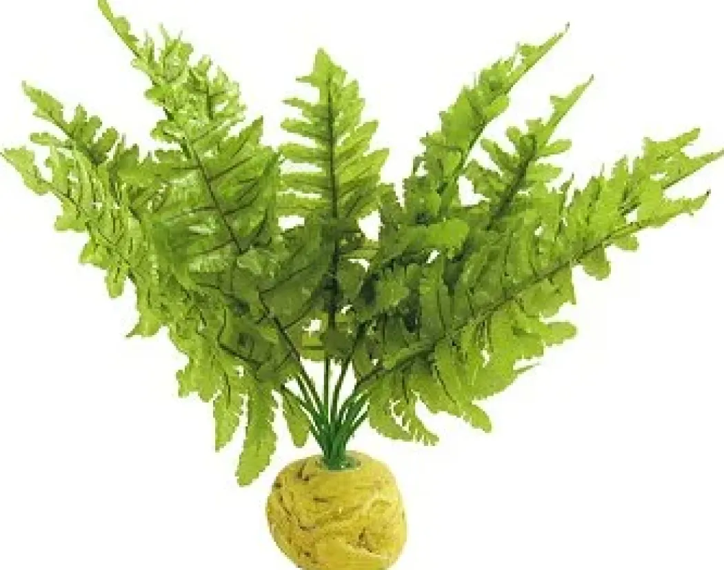 Exo Terra Boston Fern (lille)