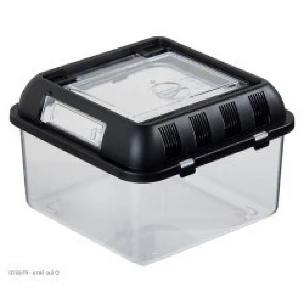 Exo Terra Breeding box (lille)