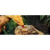 Exo Terra Canopy Combo Dish